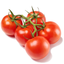 Terttutomaatti