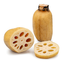 Lotus juuri tuore