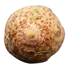 Juuriselleri
