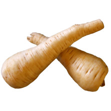 Palsternakka
