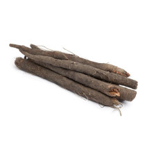 Mustajuuri
