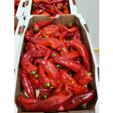 Paprika suippo kpl suomi