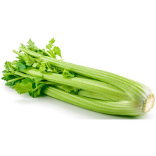 Varsiselleri