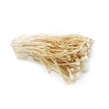 Enoki sieni 100g rasia