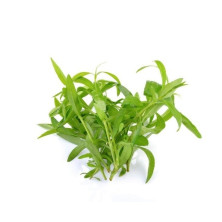 Rakuuna 100g puntti ulkolainen