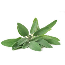 Salvia 100g puntti ulkolainen