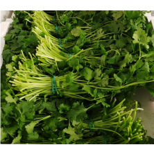 Korianteri suomi pnt 150g