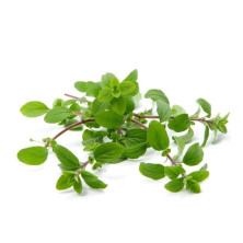 Meirami 75g puntti ulkolainen