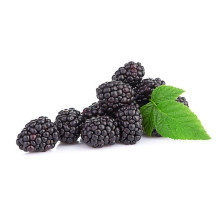 Karhunvadelma 125g ulkolainen
