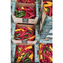 Paprika chilimix suomi