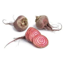 Raitajuuri