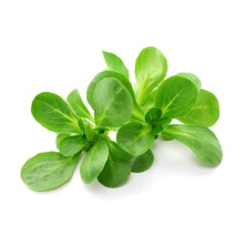 Vuonankaali 125g rasia