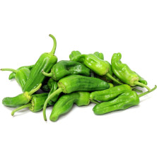 CHILIPAPRIKA PADRON VIHREÄ