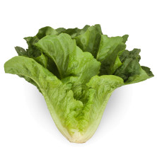 ROMAINESALAATTI