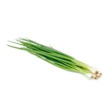 KEVÄTSIPULI NIPPU