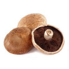 PORTOBELLO SIENI TUORE