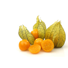 ANANASKIRSIKKA (PHYSALIS)