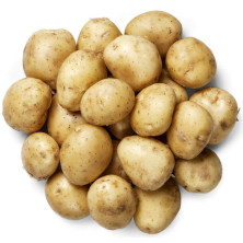 Per harjattu annabelle 15kg sk