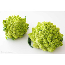 Romanescu