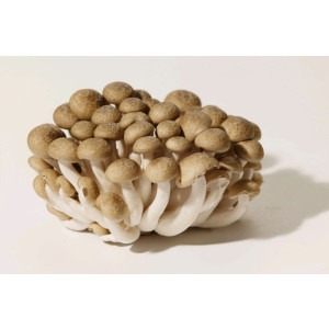 SHIMEJI SIENI 150G RASIA